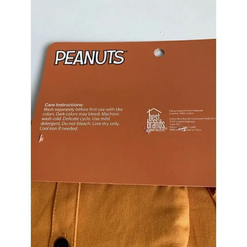 Set Of 2 Peanuts Snoopy Scarecrow Fall Hanging Kitchen Towel Halloween Autumn‎